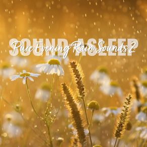 Download track Pure Evening Rain Sounds, Pt. 14 Elijah Wagner