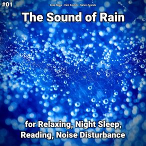 Download track Rain Sounds To Help You Sleep Nature Sounds