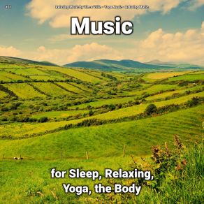Download track Relaxing Music For Everyone Relaxing Music