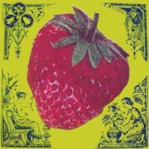 Download track Asteroid Wussy
