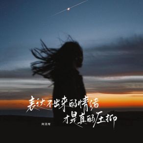 Download track 表达不出来的情绪才是真的压抑 (伴奏版) 阿美呀