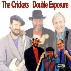 Download track Rave On The Crickets