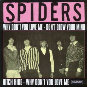Download track Why Don't You Love Me The Spiders