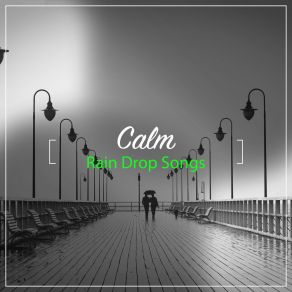 Download track Rain To Fall Asleep To Sounds Of Rain