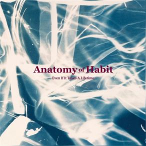 Download track Your Pure Breath Anatomy Of Habit