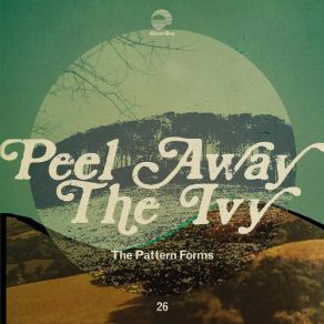 Download track A Simple Walk The Pattern Forms