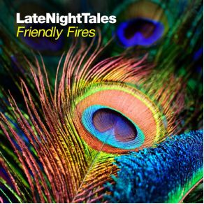 Download track Why Don'T You Answer? Friendly Fires