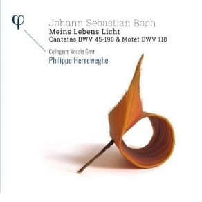 Download track 17. Laß Fürstin Laß Noch Einen Strahl BWV 198 - IX. Recitativo Was Wunder Ists? Du Bist Es Wert Johann Sebastian Bach