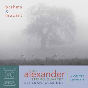 Download track Clarinet Quintet In B Minor, Op. 115 I. Allegro Alexander String Quartet, Eli Eban