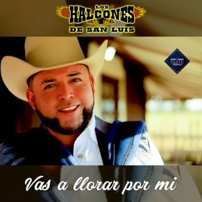 Download track Vas A Llorar Por Mi Los Halcones De San Luis