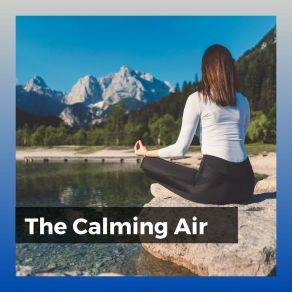 Download track Calm Music For Work And Concentration, Pt. 3 Ambient Music Therapy