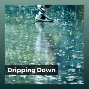Download track I Give Life To A Tree Rain Sounds For Sleep Aid