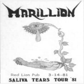 Download track The Web Marillion