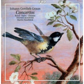Download track 04 - Violin Concerto In D Major- I. Allegro Graun Johann Gottlieb