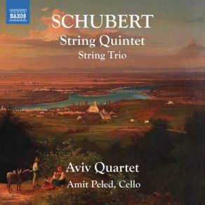 Download track String Trio In B-Flat Major, D. 581 (Original Version): II. Andante Amit Peled, Aviv Quartet