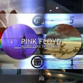 Download track Learning To Fly Demo Pink Floyd