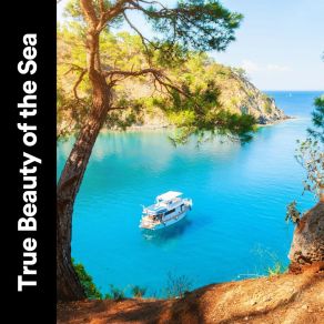 Download track Observing Thoughts Natural Waters