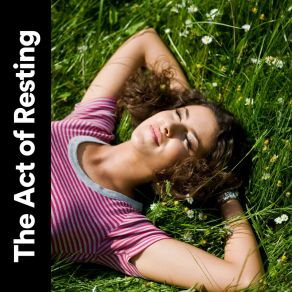 Download track Introspection Music For A Deep Meditative State, Pt. 40 Easy Ambient Mind Body Soul Healing Meditation Music