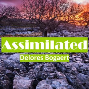 Download track Assimilated Delores Bogaert