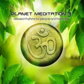 Download track The Answer The Infinity Project