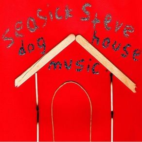 Download track Fallen Off A Rock Seasick Steve