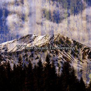 Download track Prescripted Nights Rest SPA RELAXATION