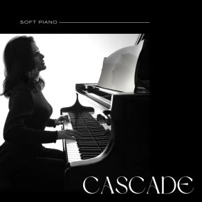 Download track Moonlit Cypress Swamp Soft Piano