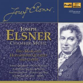 Download track String Quartet In D Minor, Op. 8 No. 3 III. Rondo. Allegro Hoffmeister Quartet, Margaux Trio, Joseph Elsner