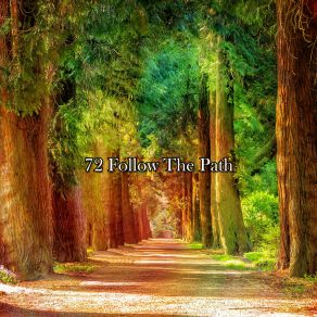 Download track Finding Purpose Yoga Tribe
