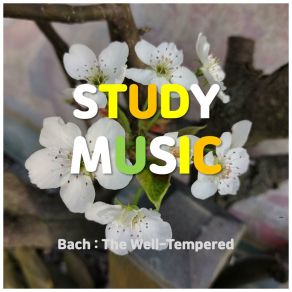Download track Relaxing Piano Study Music Happy Birthday To You Song
