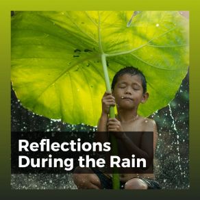 Download track Rainfall Reversed Rainforest Sounds