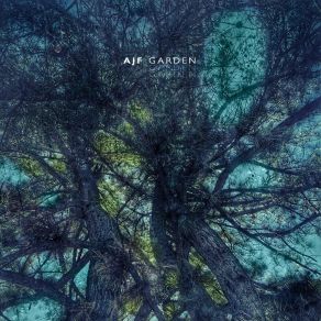 Download track Learning To Let Go AJF