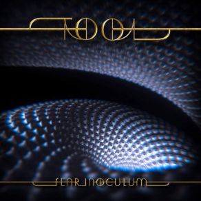 Download track Descending Tool$
