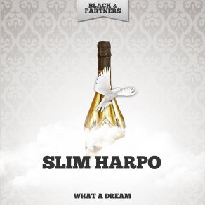Download track Don't Start Cryin' Now Slim Harpo