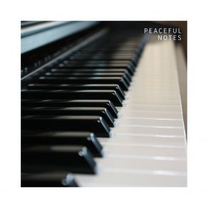 Download track Mellow Harmony Relaxing Piano