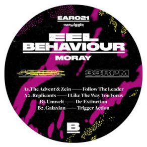 Download track Follow The Leader The Advent, Zein