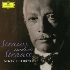 Download track Don Quixote - Variation IX. Schnell Und Sturmisch Richard Strauss