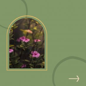 Download track Background For Mental Exercises Saturday Morning Playlist