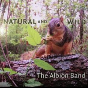 Download track Coming In On A Wing And A Prayer The Albion Band