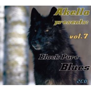Download track Every Day I Have The Blues