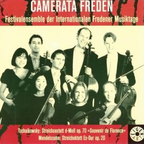Download track String Sextet In D Minor, Op. 70, TH 118