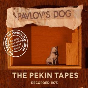 Download track It's All For You Pavlov'S Dog