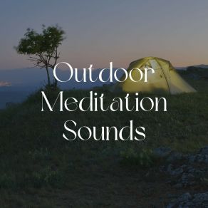 Download track Rain And Trees Sounds Of Nature Noise