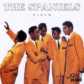 Download track This Is A Lovely Way To Spend An Evening Spaniels