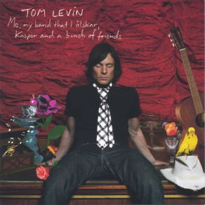 Download track Please Disturb Me Tom Levin