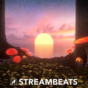Download track The Code Not Taken StreamBeats By Harris Heller