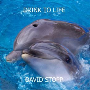 Download track How Do You Do Dat David Stopp