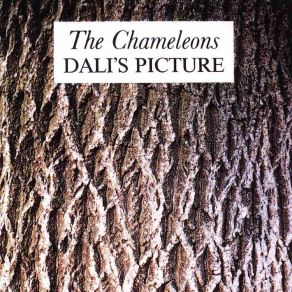 Download track Things I Wish I'D Said The Chameleons