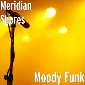 Download track Funky Intro Meridian Shores