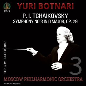 Download track Symphony No. 3 In D Major, Op. 29,